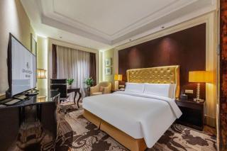 Chongqing Jiangbei Airport Grand Rezen Hotel - 5