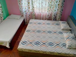 John friends guest house - 5