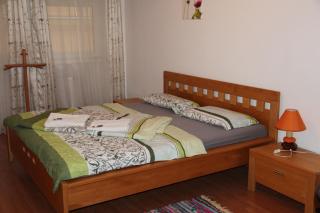 Apartment Lilianna - Karlovy Vary - 5