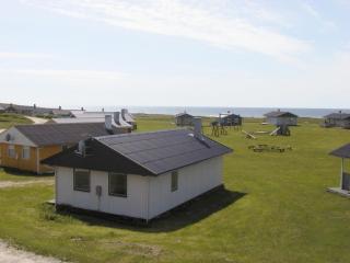 Sommerhus I Trans I Vestjylland Sj1027 - 0