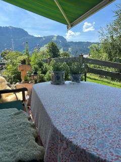 Appartement Aschbach - Kitzbühel - 9