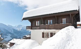 Harmony EG Süd-Ost - Bettmeralp - 7