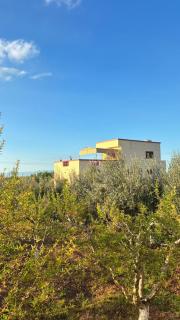 Maison au calme dans une ferme bio près de Meknès - 9