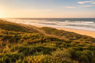 White Sands Self-catering units - Wilderness - 0