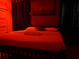 Coliveinn - 1