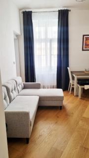 Cozy 2-bedroom flat in city center - 1