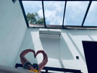 Glass Roof Southern Edge Cabanas - 0