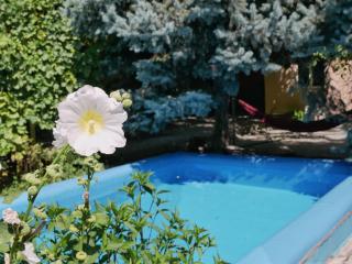 Sakura Guesthouse - 8