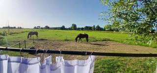 Tipi tent met 2 persoons luchtbed - 3
