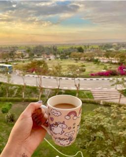 Luxor Oasis Resort & Accommodation - 9