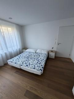 Modern garden apartment, centrally located - 7