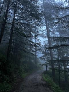 Pahadi Prologue - 7