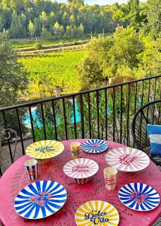 Le Figuier appart 2-3 pers en plein vignoble avec piscine privée à 30mn des gorgesdu Verdon et des plages - 7