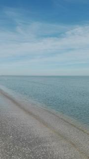 Hotel Real - Cervia - 7
