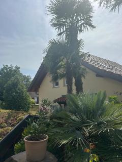 Ferienwohnung Mühlberg - 0