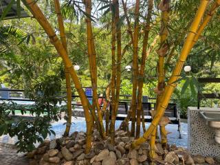 Puzhayoram resort - 2