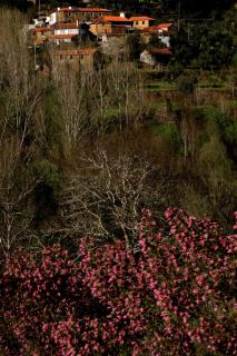 Quinta de Gildinho - Gildinho - 2
