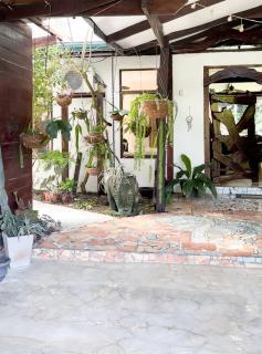 Kindred Spirits Lodge, Jungle Horse Farm, Cocles - 9