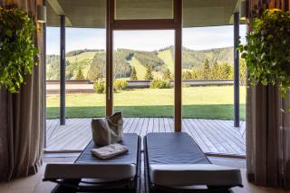 Almwellness Hotel Pierer - 8