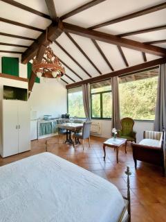Il giardino delle cince - 9