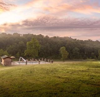 Falcon Lodge and Nature Retreat at Mark Twain - 8