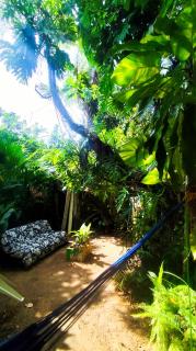 Jungle Palace hostal santaella - 4