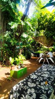 Jungle Palace hostal santaella - 5