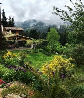 Chambre chez l'habitant dans le Parc national des Cévennes - 8