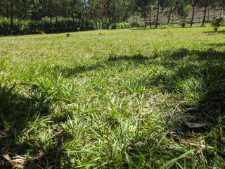 Magamba Eco-Cultural Tourism & Home Stay - 1