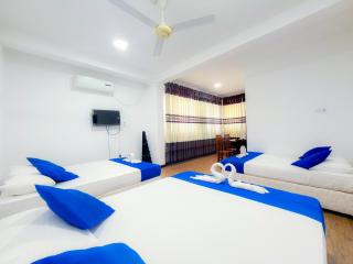 Lion Resort - 6