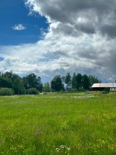 Summer cottage by a peaceful lake - 3