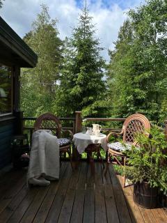 Summer cottage by a peaceful lake - 7