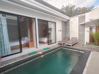 The White Villa - Private Pool near Green School - 1