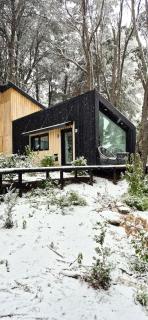 Bosque Cipreses Sur - 9