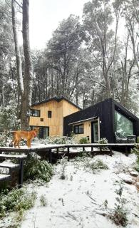 Bosque Cipreses Sur - 0