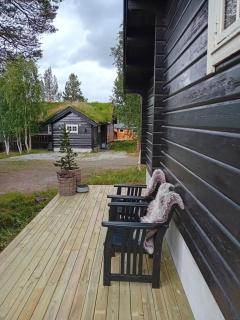 Bjorlicabin - 3