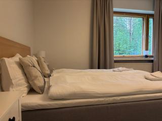 LUMI Serene Nordic Suite, Aurora City Free Parking - 4
