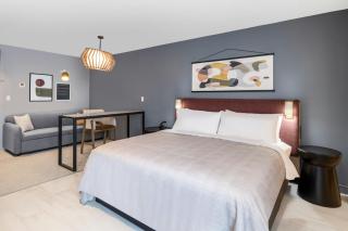 Atwell Suites Miami Brickell by IHG - 4