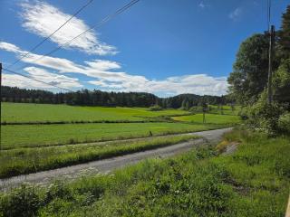 Newly renovated holiday home near Grimstad and Kristiansand zoo - 9