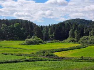 Newly renovated holiday home near Grimstad and Kristiansand zoo - 7