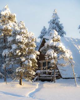 Cozy a-frame in the woods - 5