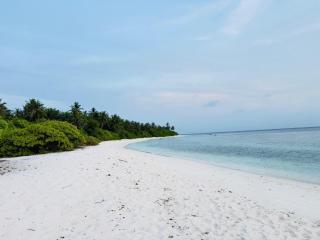Sevenseas Seaview Maldives - 9