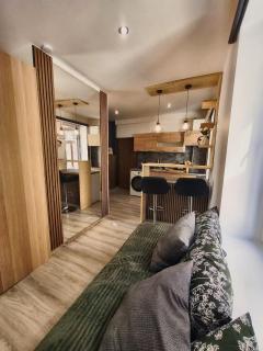 Lāčplēša 118 Cozy Riga Apartment - 6