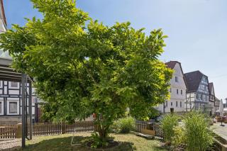 Magnolia Suite - Neubau im Fachwerkhaus mit eigenem Stadtgarten - 4