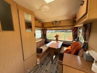 Hut 4 Ewe glamping pod with shared facilities - 6