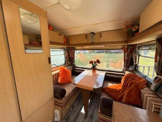 Scotti mini glamping caravan with shared bathroom facilities - 3