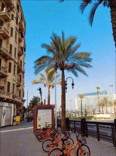 elite family suites in cairo - 9