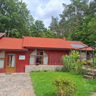 Silnowo Kwietny Raj - 8