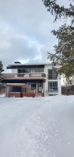 Spacious 8 BR Chalet at Blue Mountain, Private Beach Access, Hot Tub, Sauna, BBQ, Petfriendly - 9