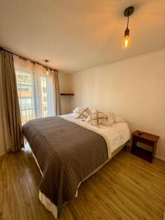 San Carlos rentals - Lastarria - 9